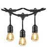 Image 1 : Feit Electric LED String Lights 48ft