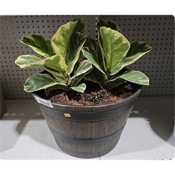 Plastic Barrel Planter, 16-Inch Diameter - NO PLANT OR DIRT INCLUDED