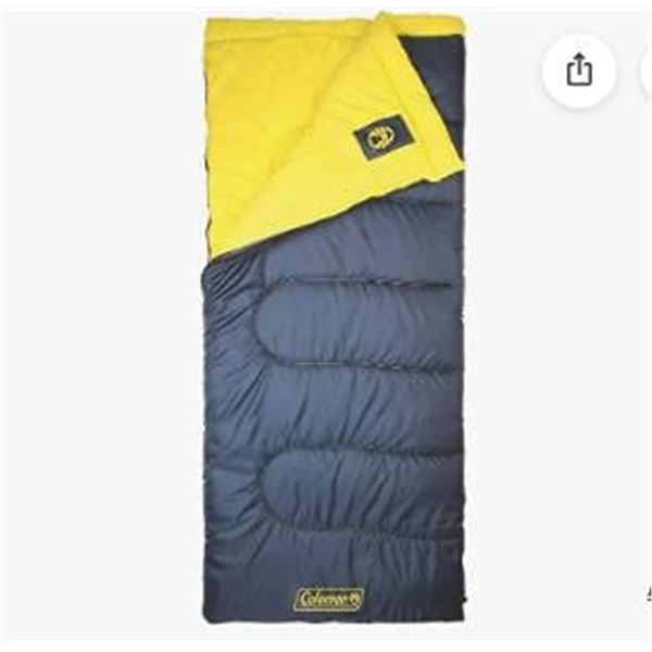 Coleman Palmetto Sleeping Bag 2000034771