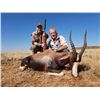 Image 1 : 6 Day Plains Game Hunt for 2- South Africa