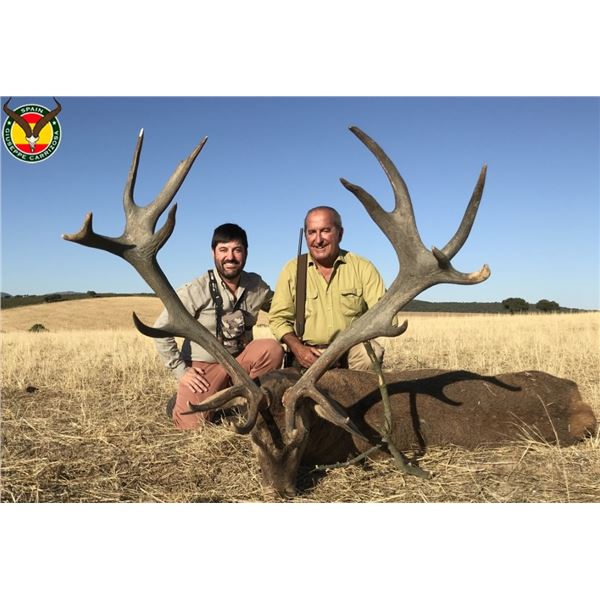 3 Day Iberian Red Stag Hunt- Spain