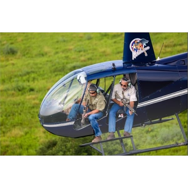 Helicopter & Fully Automatic Machine Gun Hog Hunt- Texas