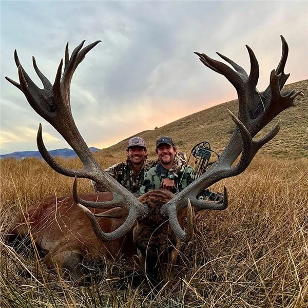 5 Day Red Stag Hunt- Argentina