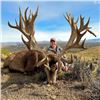 Image 2 : 5 Day Red Stag Hunt- Argentina