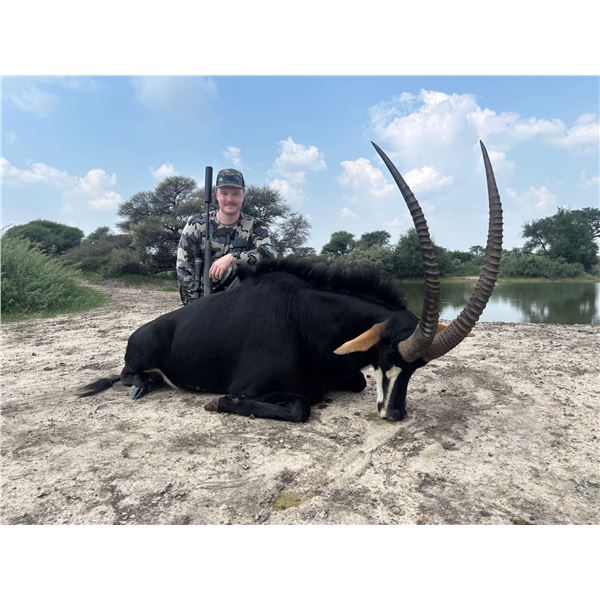 5 Day Trophy Sable Bull Hunt- South Africa