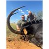 Image 2 : 5 Day Trophy Sable Bull Hunt- South Africa