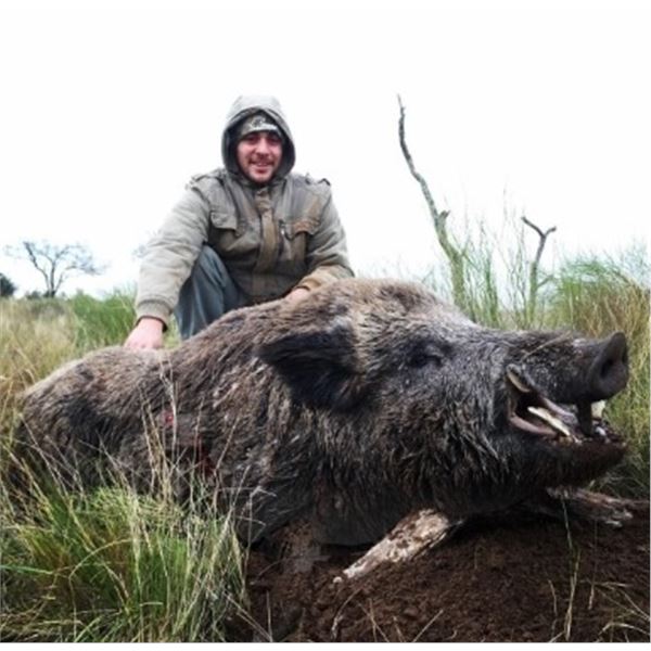 4 Day Mixed Bag Hunt- Northern Territories, Argentina