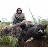 Image 1 : 4 Day Mixed Bag Hunt- Northern Territories, Argentina
