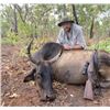 Image 2 : 7 Day Buffalo Hunt - Australia