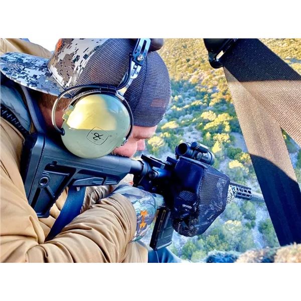 Helicopter Pig Hunt for 2- Texas