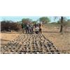 Image 1 : Unlimited Dove Shooting for 6-  Argentina