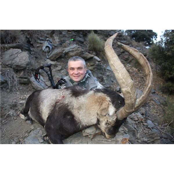 Spanish Ibex Hunt- Spain