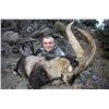 Image 1 : Spanish Ibex Hunt- Spain