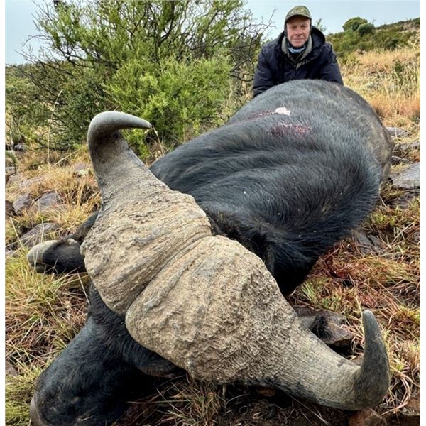 7 Day Cape Buffalo Hunt - South Africa