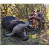 Image 2 : 7 Day Cape Buffalo Hunt - South Africa