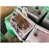 Image 2 : Qty Approx. 4 Shoals Technologies Group Standard Current String Combiner Boxes