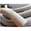 Image 3 : Multiple Lengths PVC Elbows & Angled Sweeps, Misc Sizes