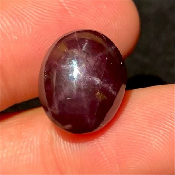 16ct Certified Star Garnet Gemstone