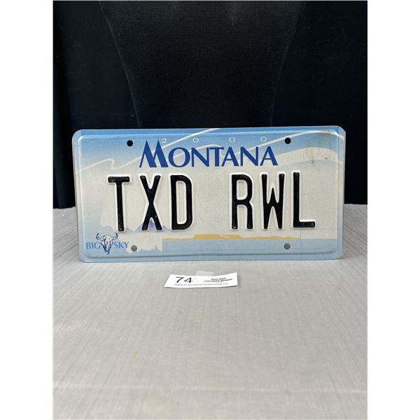 2000 Montana Big Sky License Plate