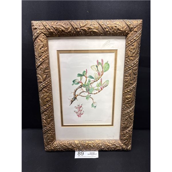 Professionally Framed 11" x 14" 1960 Print in Very Nice Gold Toned Embossed Frame