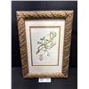 Image 1 : Professionally Framed 11" x 14" 1960 Print in Very Nice Gold Toned Embossed Frame