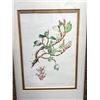 Image 2 : Professionally Framed 11" x 14" 1960 Print in Very Nice Gold Toned Embossed Frame