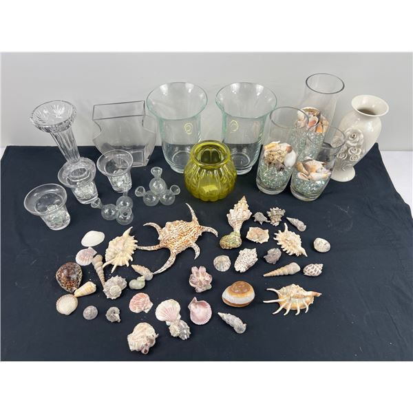 Seashells & Decorative Vases