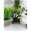 Image 2 : Faux Potted Plants