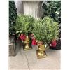 Image 2 : Faux Home & Garden Plants
