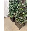 Image 3 : Faux Home & Garden Plants