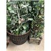 Image 4 : Faux Home & Garden Plants