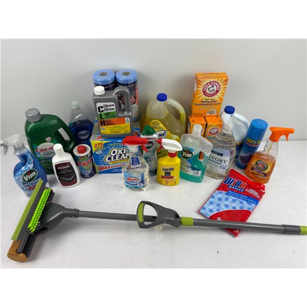 Household Cleaning Lot