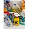 Image 3 : Household Cleaning Lot