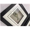 Image 2 : Framed Animal Artwork