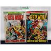 Image 3 : Assorted Red Wolf Comics (1970s)