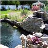 Image 9 : Pond Shield Non-Toxic Epoxy Resin Kit (1.5Qt) Black; Great for Ponds/Aquariums/Birdbaths etc. New