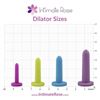 Image 3 : Intimate Rose 4PC Small Dilator Set for Pelvic Floor Controlled Dilation Therapy - NEW SEALED!