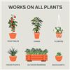 Image 5 : Strive Premium 2-Part Plant Fertilizer Kit - Booster for Plants/Vegetables/Flowers (Large Kit) - New