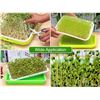 Image 8 : 10-Pack of Seed Sprouter Plant Trays/Germination Trays for Seeds - New
