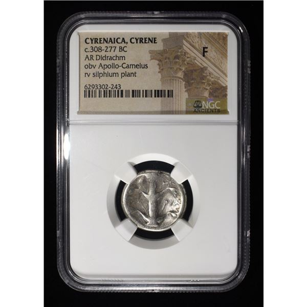 SILPHIUM, C.308-277 BC NGC F