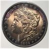 Image 2 : 1882 MORGAN DOLLAR PCI GEM BU