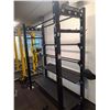 Image 1 : FREEMOTION BRANDED COMMERCIAL-GRADE FITNESS RACK