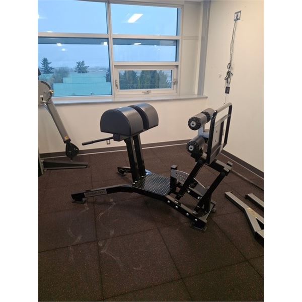 FREEMOTION GLUTE HAMSTRING DEVELOPER STATION