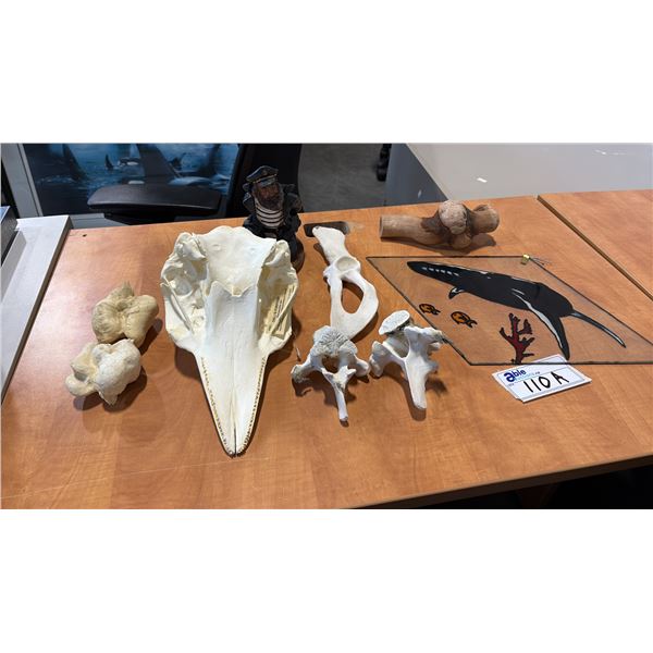 CETACEAN REPLICA SKULL, BONES AND DECOR