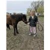 Image 2 : “Drifter” yearling gelding