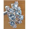 Image 1 : SILVER(3.57G), B.TOPAZ (APP 0.8CT) EARRING, SUGGESTED RETAIL VALUE $280