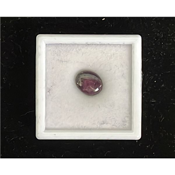 *NEW* 6.2CT OVAL CABOCHON NATURAL STAR RUBY - UNTREATED (9.2MM X 11.1MM)