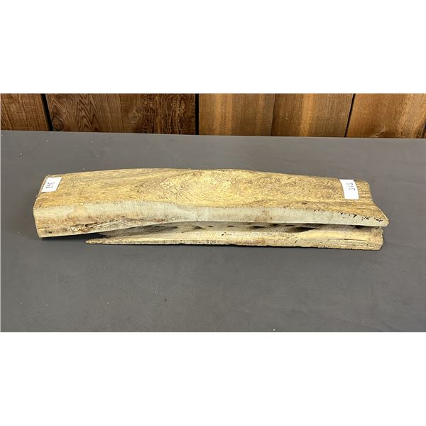 LARGE PIECE OF ANIMAL BONE