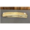 Image 1 : LARGE PIECE OF ANIMAL BONE