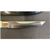 Image 2 : 7" TAYLOR/SETO 440 STAINLESS STEEL HUNTING KNIFE WITH LEATHER SHEATH